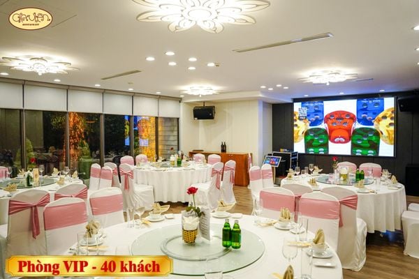  Vip 26 