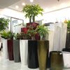 Chậu composite trụ tròn bo đáy