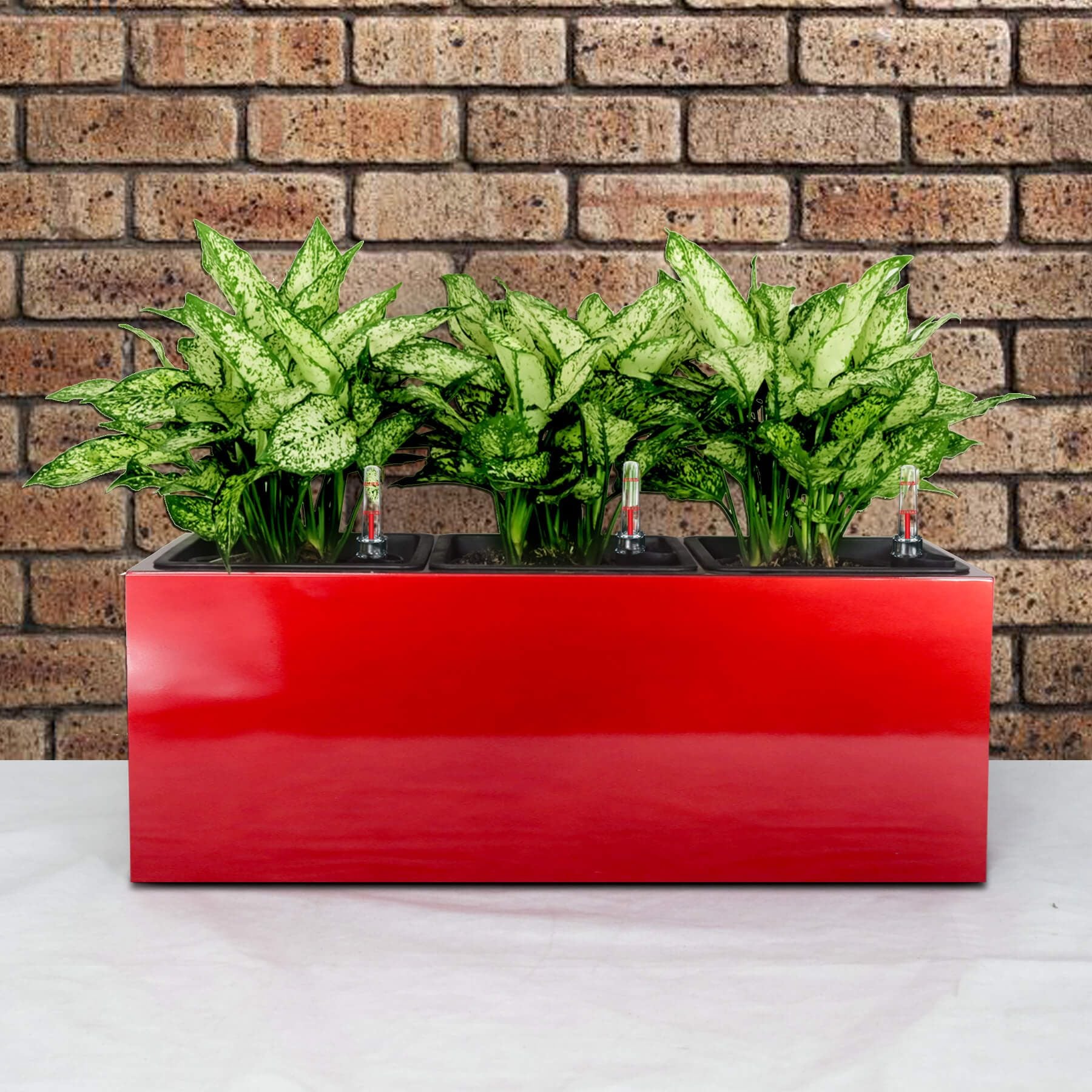 Chậu Composite chữ nhật Catleza