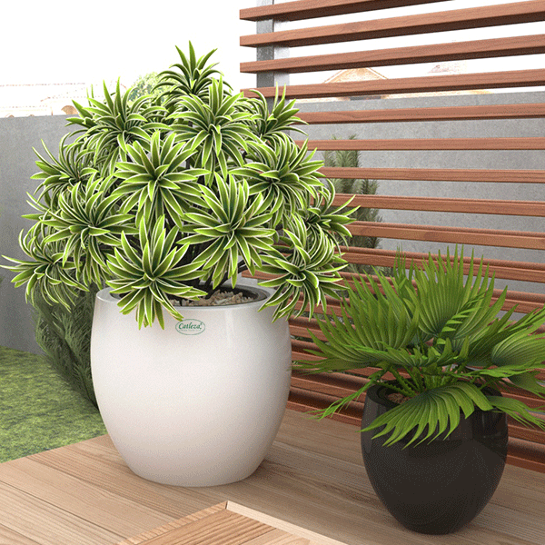 Chậu composite tròn bầu giữa