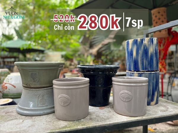  [THANH LÝ GIẢM 80%]  Những combo chậu với mức giá cực kỳ rẻ 