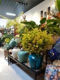  Bình bưởi ù xanh dương, trắng ngà, xanh ngọc, gốm Nam Bộ, R15xC28cm- 04040un035 