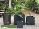 Bộ 3 Chậu xi măng vuông đen, D63xR33xC32 cm- SP000878 