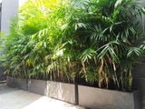  Bộ 3 Chậu xi măng chữ nhật vuông đen, D63xR33xC32 cm -SP000882 