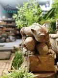  Tượng Ciment Gargoyle cho kiến trúc nội ngoại thất, chỉ có tại Vườn Nhà Gốm 