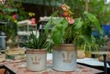  Bộ hai chậu trụ logo đủ màu , chậu men trồng cây, gốm Nam Bộ, C20xR20 cm- SP001678 