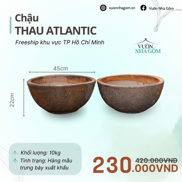  [THANH LÝ GIẢM ĐẾN 80%] Chậu gốm xuất khẩu | Chậu thau atlantic R45cm 