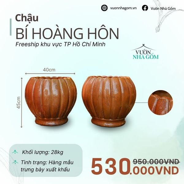  [THANH LÝ GIẢM ĐẾN 80%] Chậu gốm xuất khẩu | Chậu bí hoàng hôn H45cm 