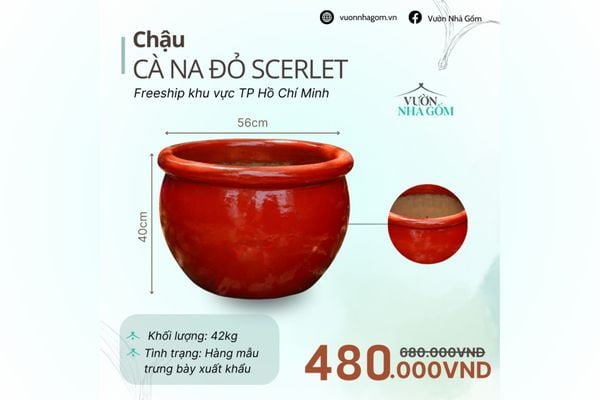  [THANH LÝ GIẢM ĐẾN 80%] Chậu gốm xuất khẩu | Chậu cà na đỏ Scerlet H45cm 