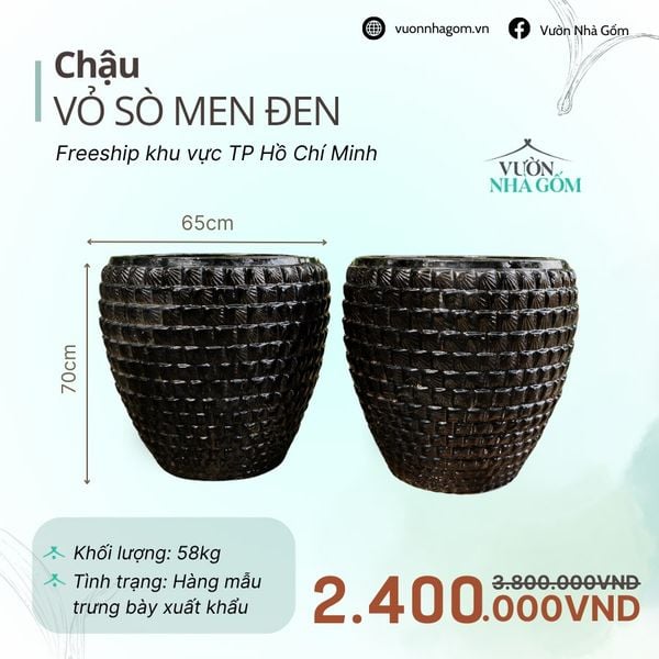  [THANH LÝ GIẢM ĐẾN 80%] Chậu gốm xuất khẩu | Chậu vỏ sò men đen H70cm 