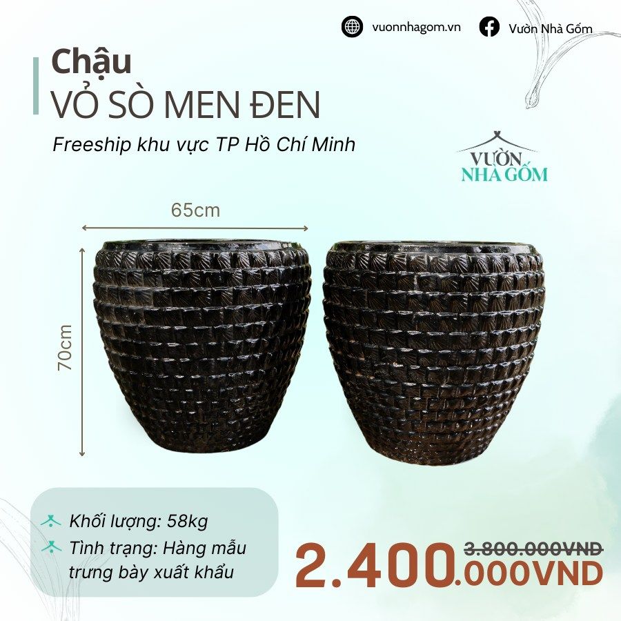  [THANH LÝ GIẢM ĐẾN 80%] Chậu gốm xuất khẩu | Chậu vỏ sò men đen H70cm 