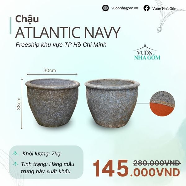  [THANH LÝ GIẢM ĐẾN 80%] Chậu gốm xuất khẩu | Chậu atlantic navy H38cm 