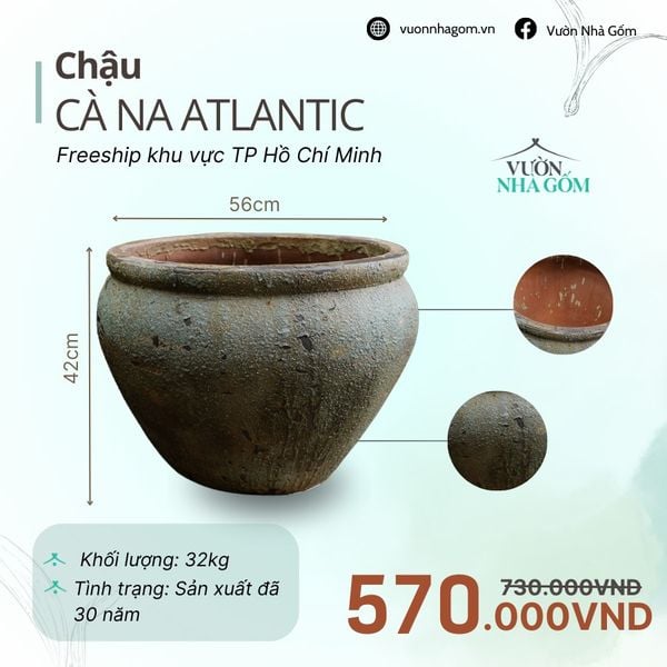  [THANH LÝ GIẢM ĐẾN 80%] Chậu gốm xuất khẩu | Chậu cà na atlantic H42cm 