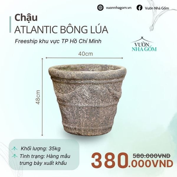  [THANH LÝ GIẢM ĐẾN 80%] Chậu gốm xuất khẩu | Chậu atlantic bông lúa H48cm 