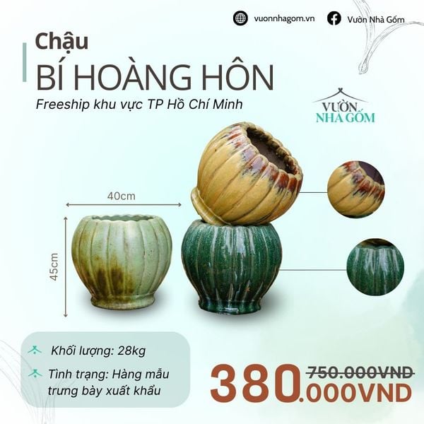  [THANH LÝ GIẢM ĐẾN 80%] Chậu gốm xuất khẩu | Chậu bí hoàng hôn H45cm 