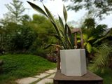  Chậu xi măng lục giác xám, R22xC23cm-SP000630 