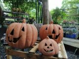  Tượng bí tròn lớn trang trí Halloween, R30xC30 cm- SP000190 