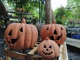  Tượng bí tròn lớn trang trí Halloween, R30xC30 cm- SP000190 