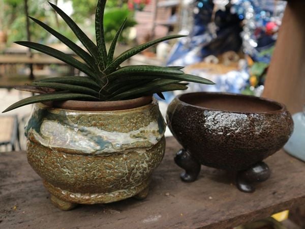  Chậu bonsai Kim 807, 14x16x12 cm- SP000792 