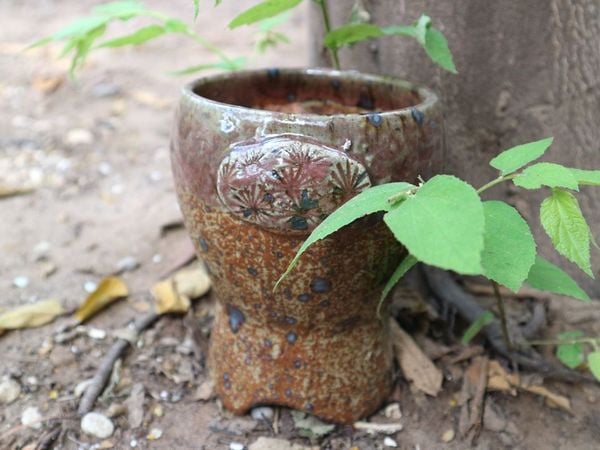  Chậu bonsai Kim 813, 13x14x17 cm- SP000786 