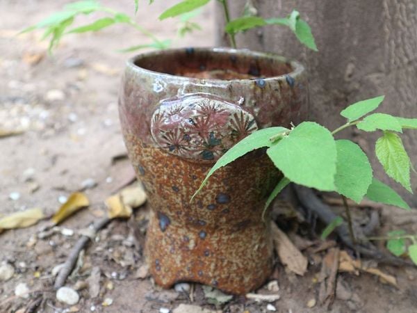  Chậu bonsai Kim 813, 13x14x17 cm 