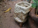  Chậu bonsai Kim 818, 10x13x12 cm- SP000781 