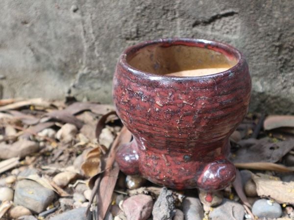  Chậu bonsai Kim 823, 10x11x8 cm- SP000776 