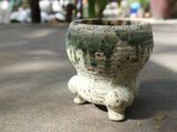  Chậu bonsai Kim 824, 8x8x8 cm- SP000775 