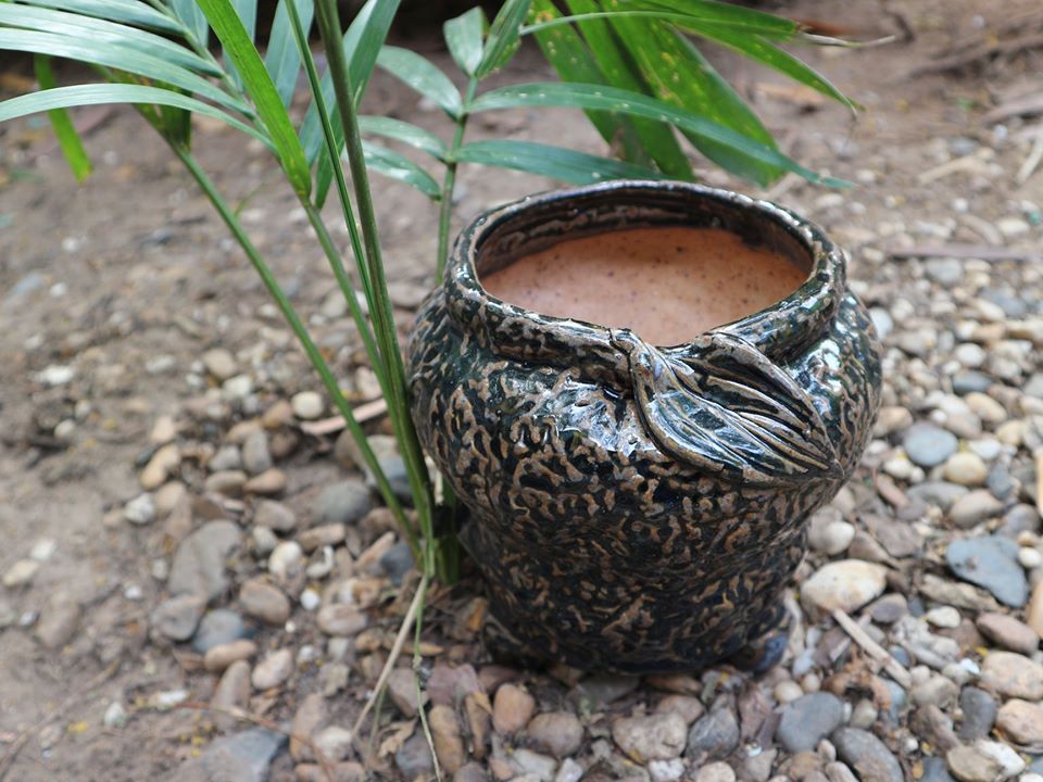  Chậu bonsai Kim 825, 9x11x11 cm 