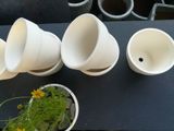  Chậu đất nung trắng bán sứ, C9 x R9cm- 03020go002 