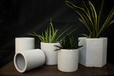  Chậu xi măng lục giác xám, R22xC23cm-SP000630 