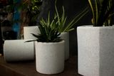  Chậu xi măng lục giác xám, R22xC23cm-SP000630 