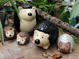  Nhím mẹ khó tính Tlip, C 14cm- SP000977 
