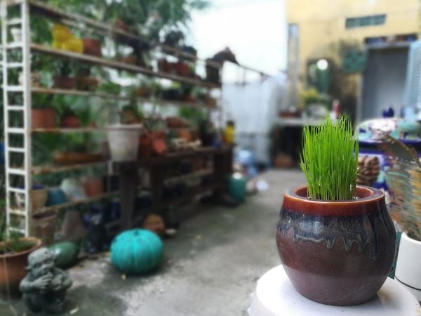  Chậu nồi đỏ, R30 x C18cm- 0402n3l042 
