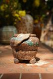  Chậu bonsai Kim 825, R11 x C11cm- SP000774 
