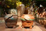 Chậu bonsai Kim 825, R11 x C11cm- SP000774 