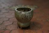  Chậu bonsai Kim 824, R8 x C8cm- SP000775 
