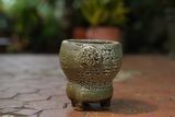  Chậu bonsai Kim 824, R8 x C8cm- SP000775 