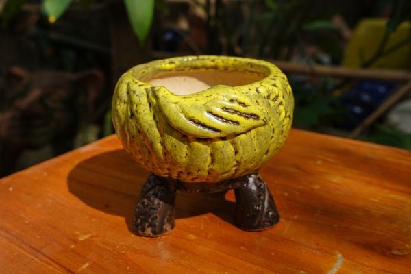  Chậu bonsai Kim 831, R13 x C11cm - SP000769 