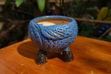  Chậu bonsai Kim 831, R13 x C11cm - SP000769 