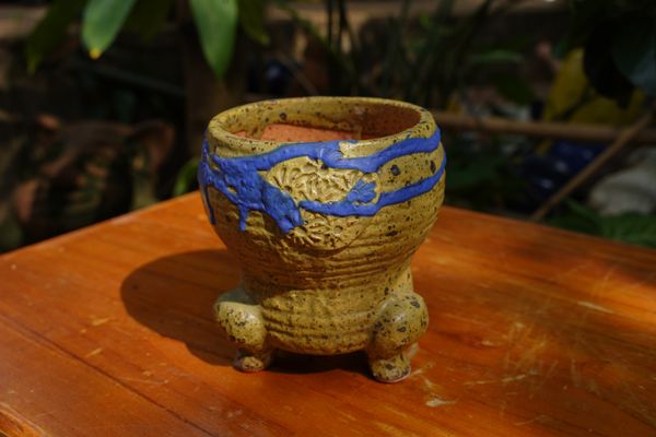  Chậu bonsai Kim 823, R11 x C8cm- SP000776 