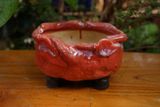  Chậu bonsai Kim 841, D18 x R12 x C11cm - SP000762 