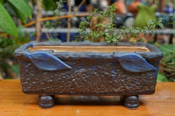  Chậu bonsai Kim 840, D31 x R15 x C13 cm- SP000763 