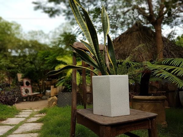  Chậu xi măng lục giác xám, R22xC23cm-SP000630 