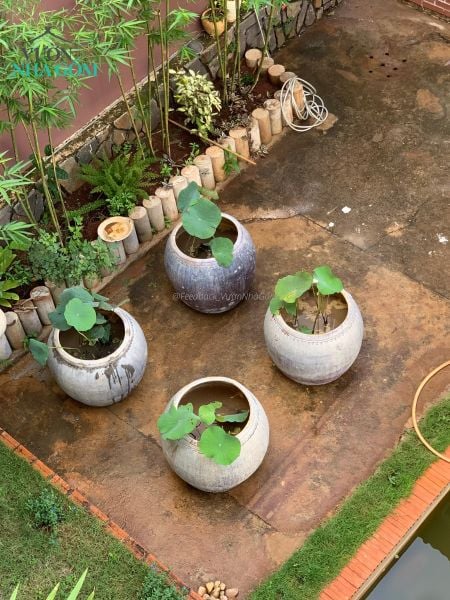  Lu đất đen đựng nước và trang trí, C60 x R70cm- 0318l5l004 