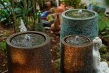 Chóe nước, men sủi atlantic màu nâu đồng, sản phẩm quy chuẩn xuất khẩu, size nhỏ R28 x C40-SP001818 