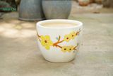  Chậu men dày chắc, đề tài Mùa Xuân, Tết Giáp Thìn, bộ 3 chậu trồng cây-SP001147 