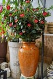  Ché rồng men nâu size lớn, bình cắm hoa gốm Nam Bộ, R22xC55cm- SP000471 