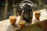  Bộ ấm tích vẽ tay hoa lan, 1 bình, 5 tách và 1 dĩa lót- SP002502 