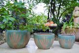  Chậu gốm họa văn bông lúa, chậu men trồng cây, gốm Nam Bộ, R35 x C25cm- 0402l5l032 